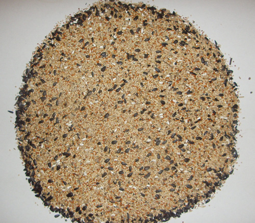 Cockatiel seed